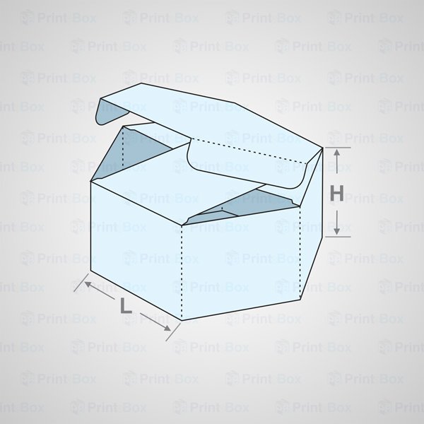 Custom Hexagon Boxes