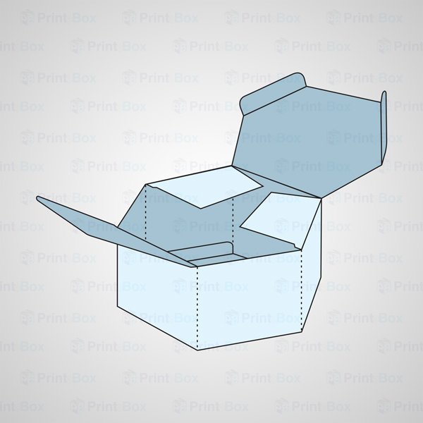Custom Hexagon Boxes Design