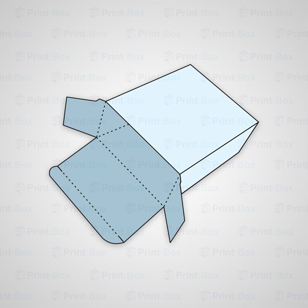 Custom Tuck End Auto Bottom Box