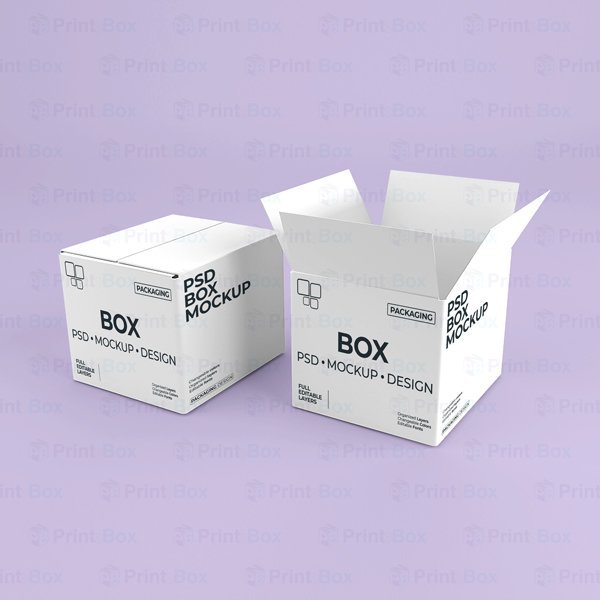 Custom Corrugated Box Packaging