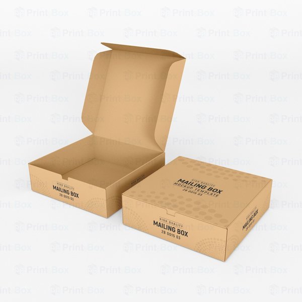 Custom Kraft Mailer Boxes-3