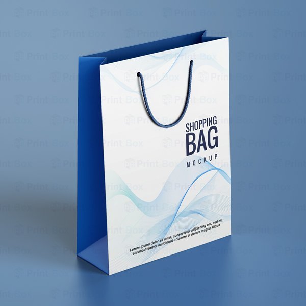 Custom Ribbon Paper Bags